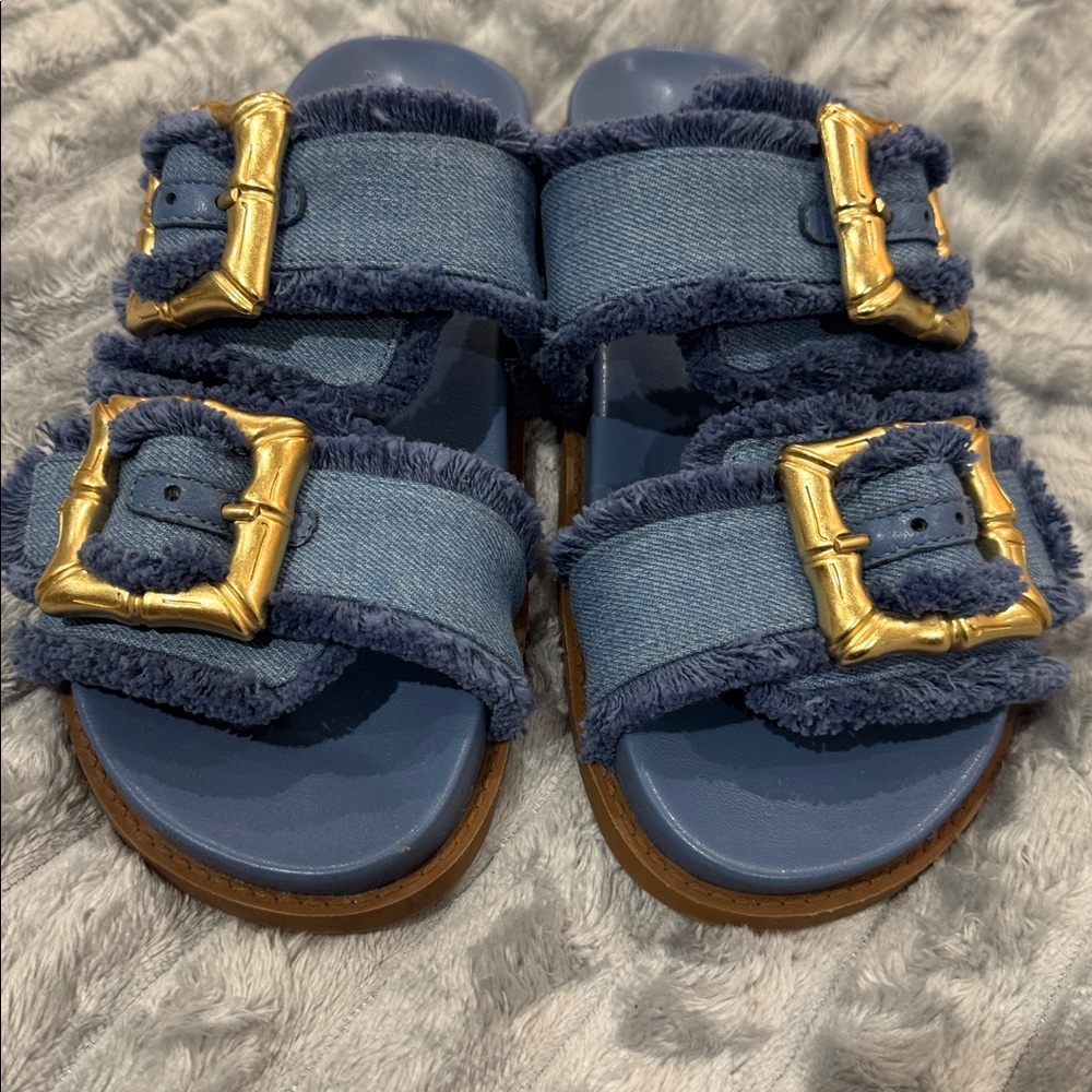 SCHUTZ Blue Sandals with Gold Buckles